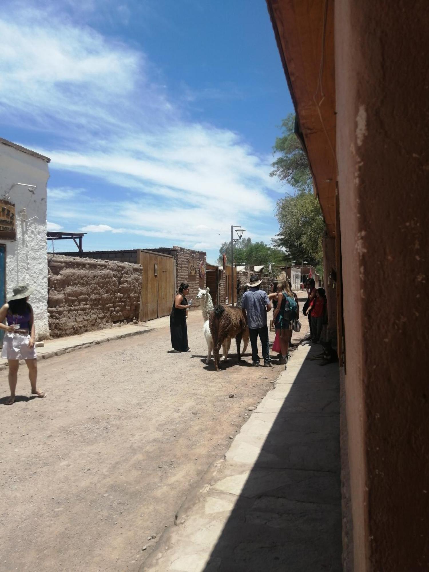 Viajes & Vida Km0 Apartamento San Pedro de Atacama Exterior foto
